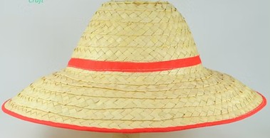 Palm leaf hat