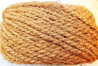 Palm Fibre