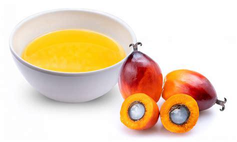Palm Vinegar